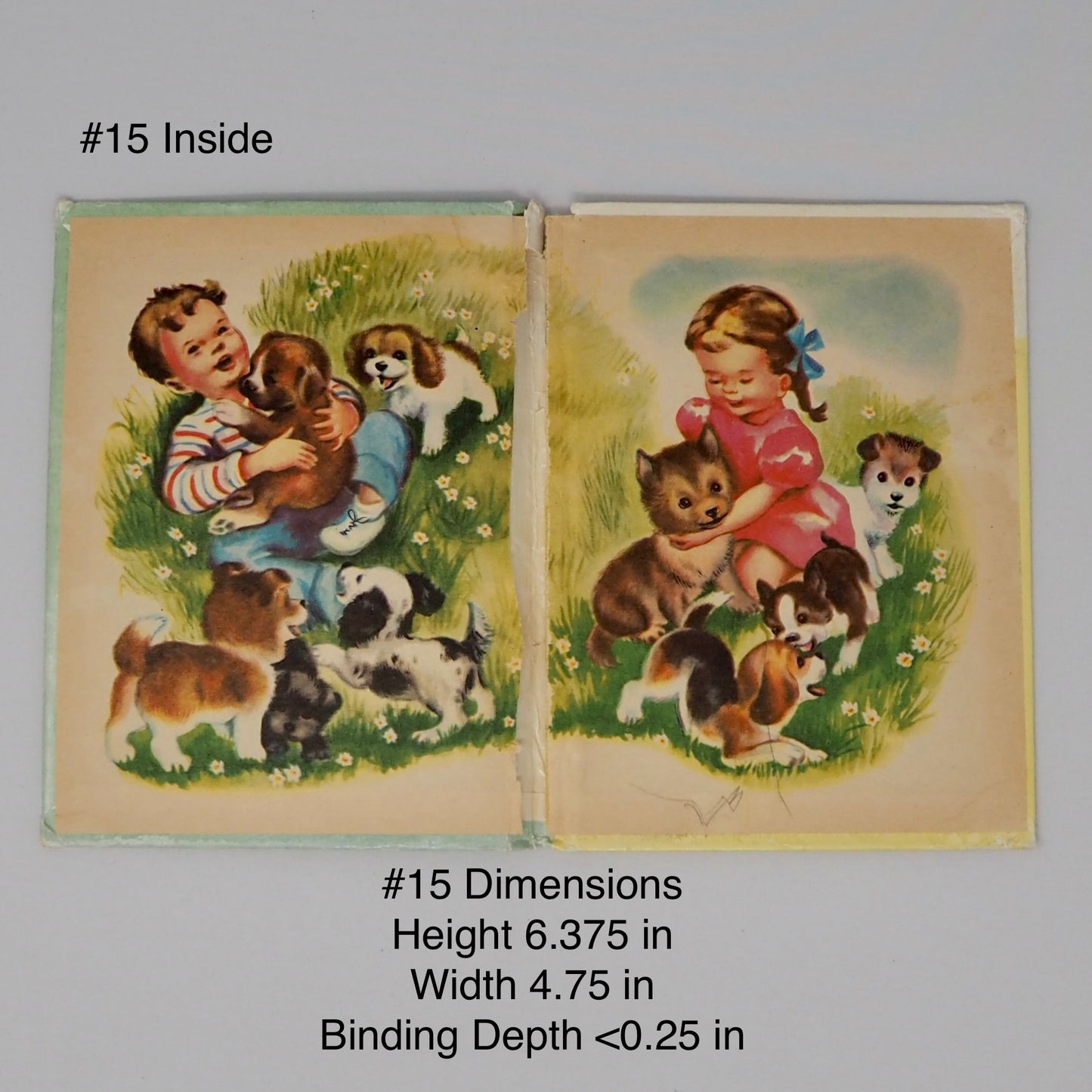 Vintage Distressed Book Covers, 4-11 inches tall, Full of Character, Front & Back, Attached Spines