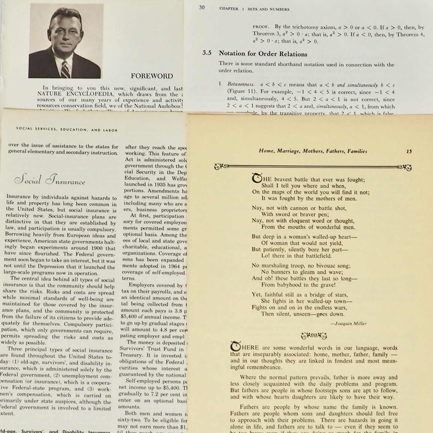 Curated Vintage Book Page Bundles From 1890s to 1980s - 10 to 25 different books!