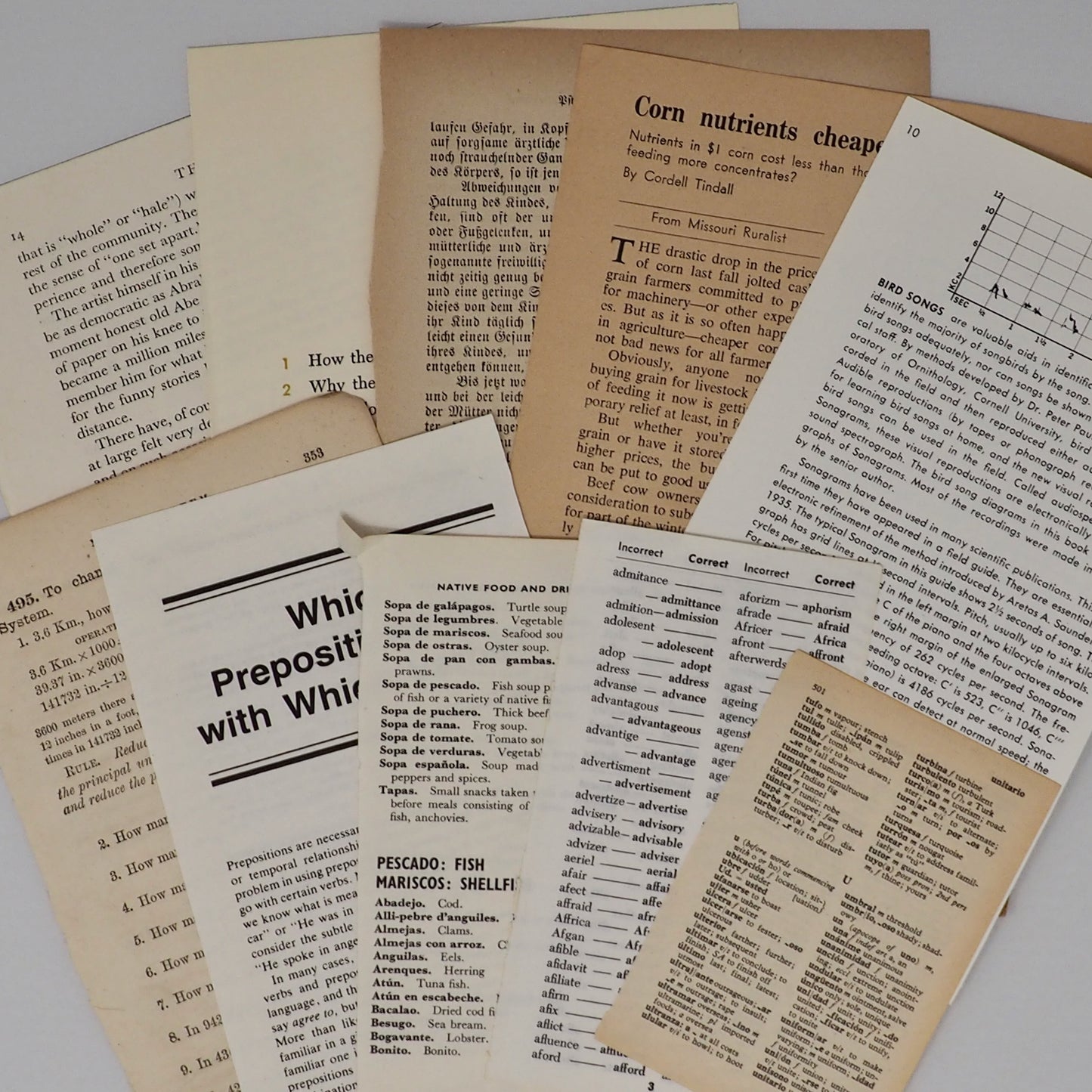 Curated Vintage Book Page Bundles From 1890s to 1980s - 10 to 25 different books!