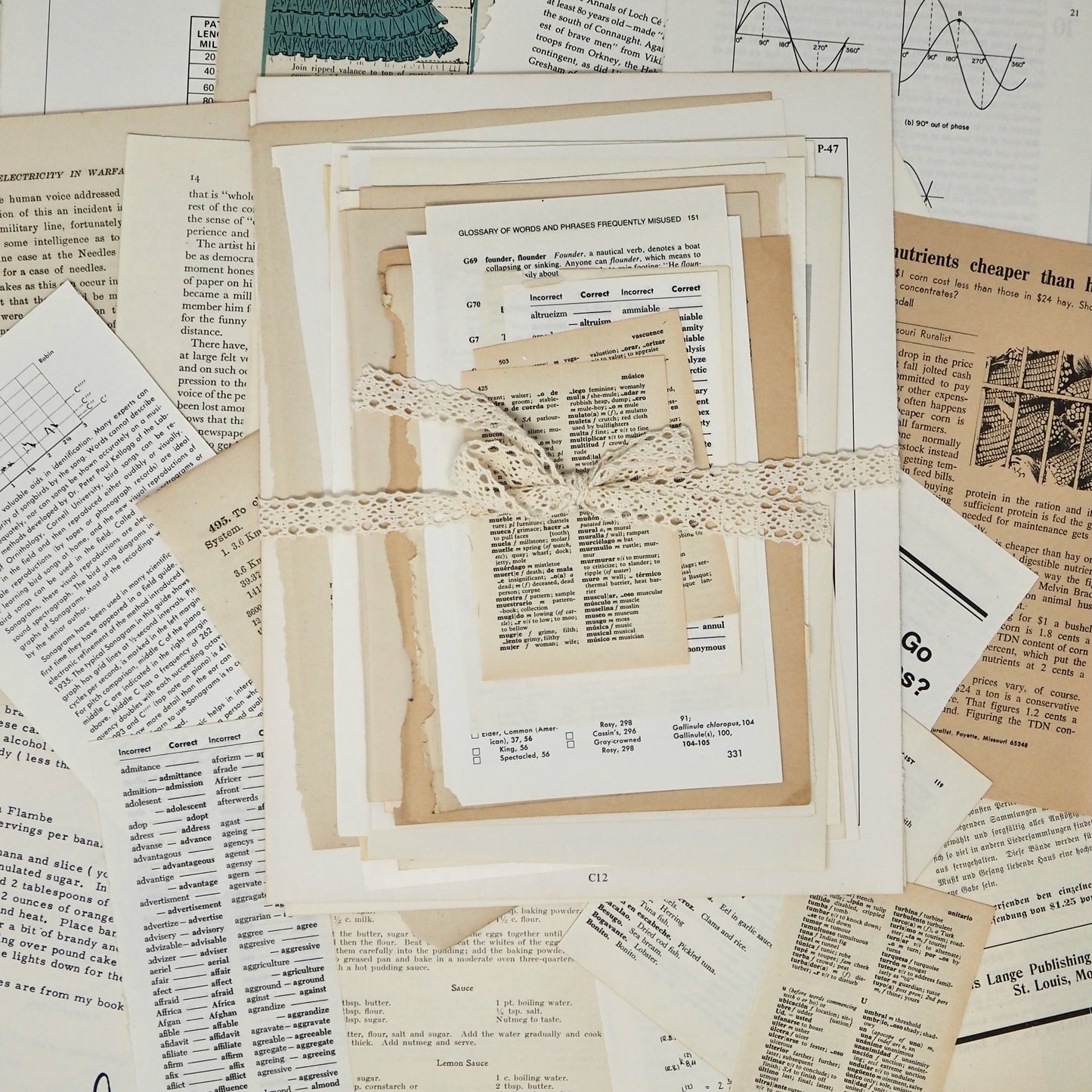 Curated Vintage Book Page Bundles From 1890s to 1980s - 10 to 25 different books!