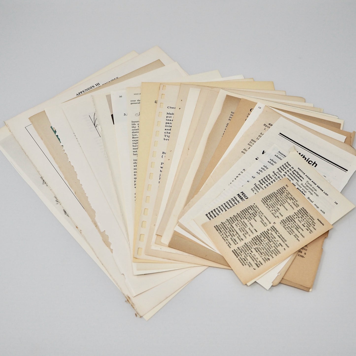 Curated Vintage Book Page Bundles From 1890s to 1980s - 10 to 25 different books!