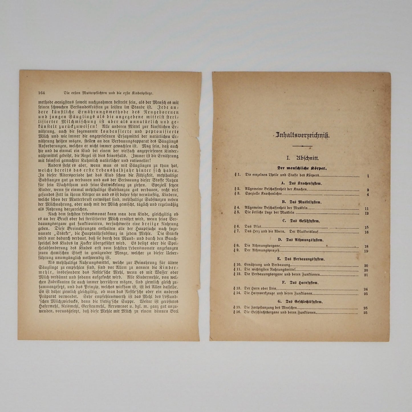 10 Antique book pages from 1880s to 1910s (5 different books) - Vintage Ephemera